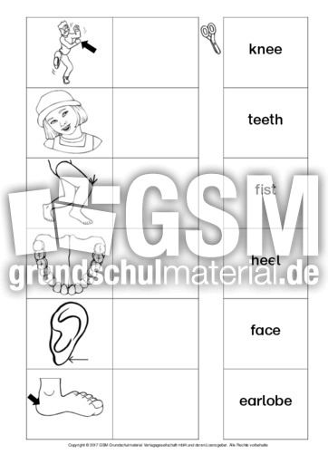 AB-my-body-Zuordnung 6.pdf